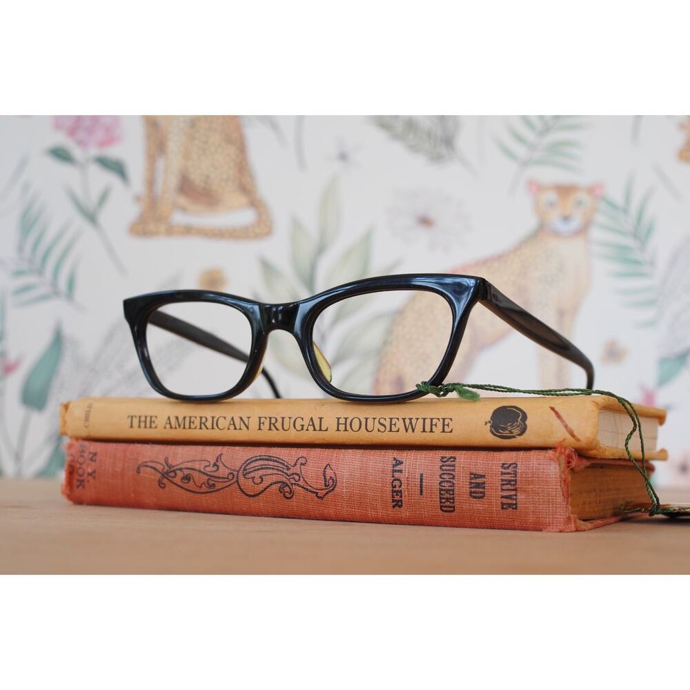 Vintage 1960s De Lotto Cat Eye Eyeglasses Italy Rockabilly Pin Up Retro MCM